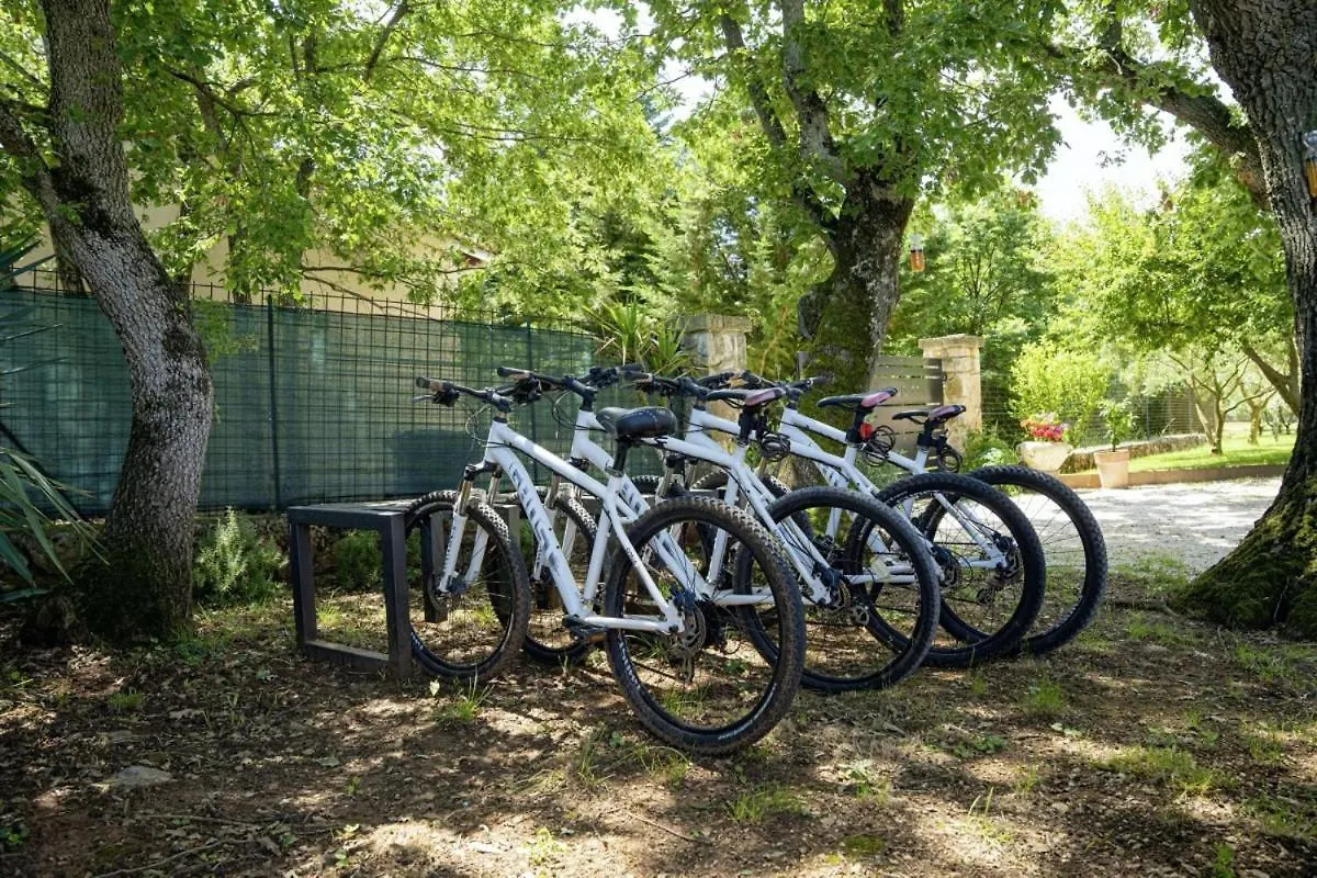 Villa Valade In Bale - Haus Fuer 6 Personen Croatia